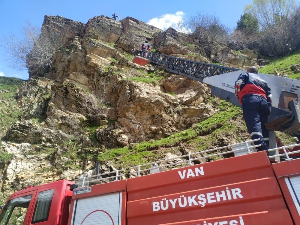Kayalıkta mahsur kalan keçi itfaiye tarafından kurtarıldı 