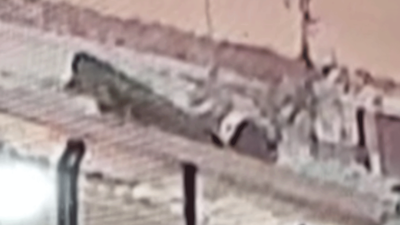 Kayan tırın şarampole yuvarlanma anı!