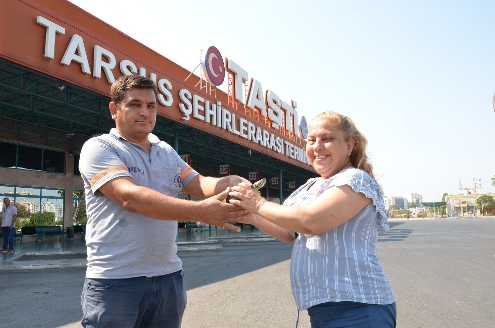 Kaybettiği kaplumbağasına 4 gün sonra kavuştu, mutluluktan uçtu 
