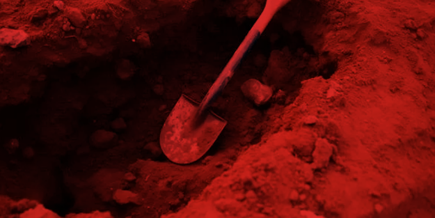 Kaybettikleri küpeyi ararken bahçede tesadüfen hazine buldular