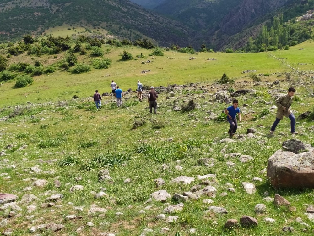Kaybolan koyunlarını 12 gündür arıyor 