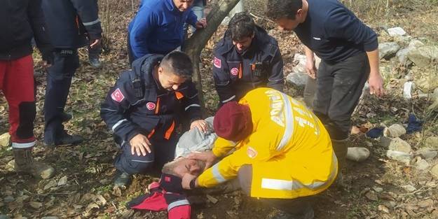 Kaybolan yaşlı adam ağaç kenarında uyurken bulundu