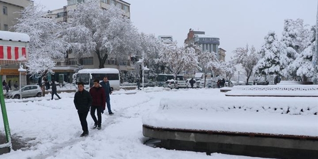 Kaygan zeminlerde penguen gibi yürüyün