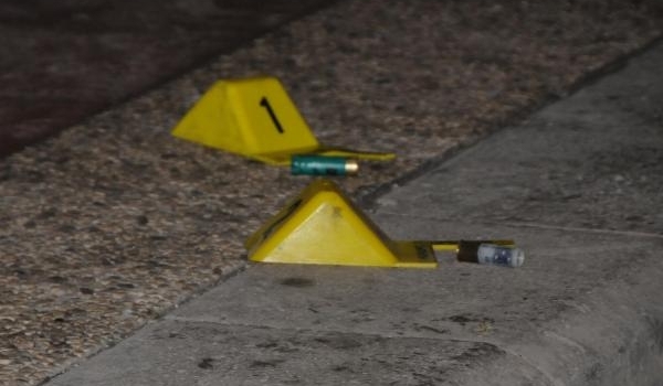 Kayınvalidesi ve baldızını öldürdü