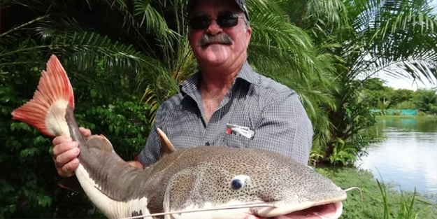 Kayıp balıkçı günlerdir aranıyordu: Timsahın midesinde bulundu!