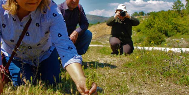 Kayıp bitki tam 130 yıl sonra bulundu!