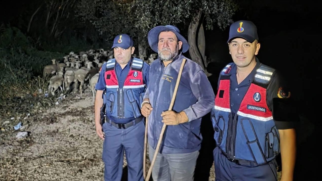 Kayıp çoban ile 100 koyunu jandarma buldu