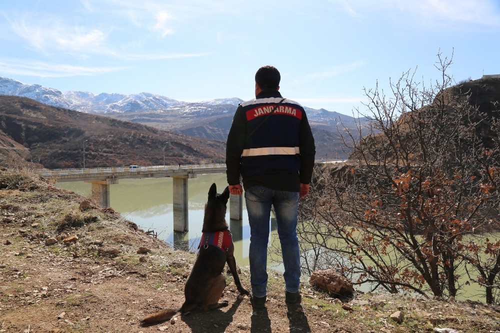 Kayıp Gülistan’ı arama çalışmaları sürüyor 