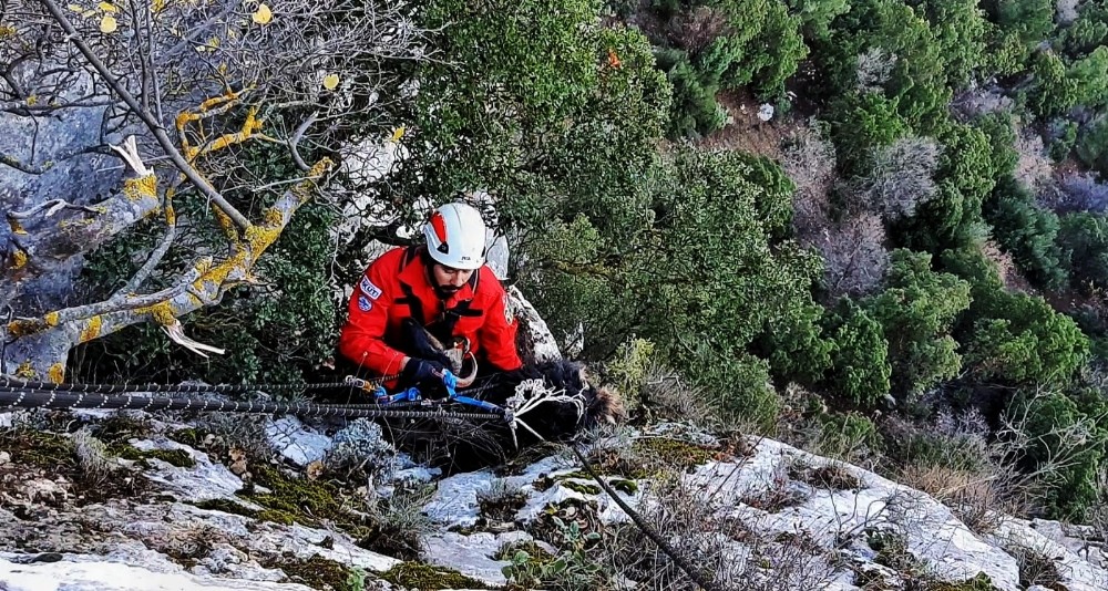 Kayıp keçi 1 hafta sonra AKUT ekiplerince bulundu 