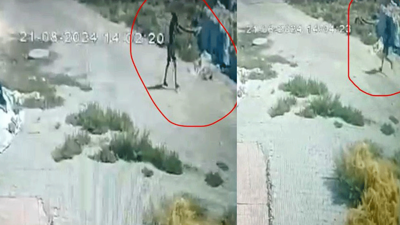 Kayıp Narin olayında ortaya çıkan 2 buçuk dakika detayı