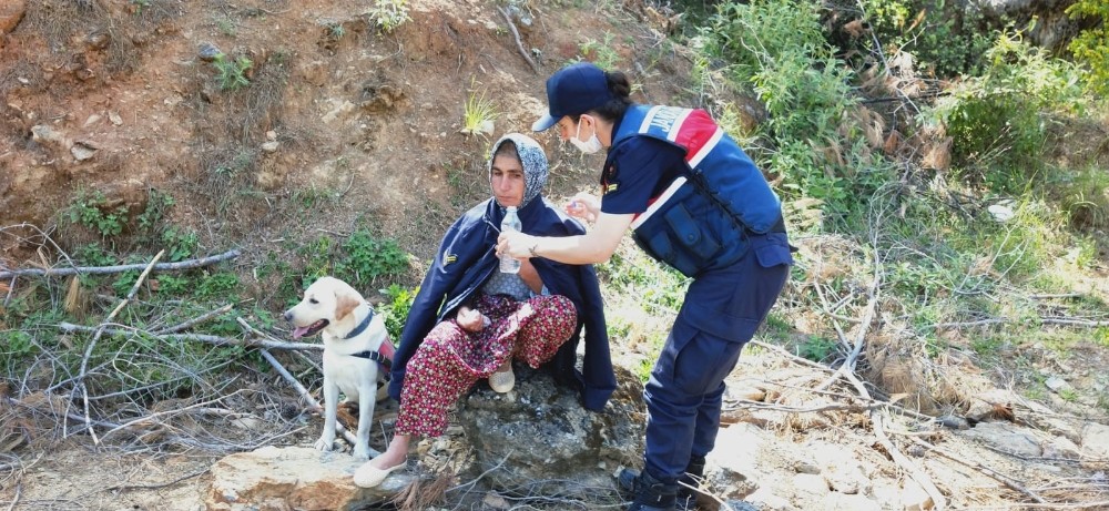 Kayıp olarak aranan kadın ormanlık alanda bulundu 