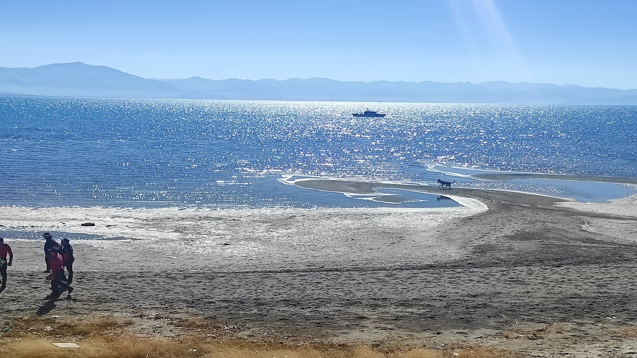 Kayıp Rojin için bu kez hassas burunlu köpekler devrede