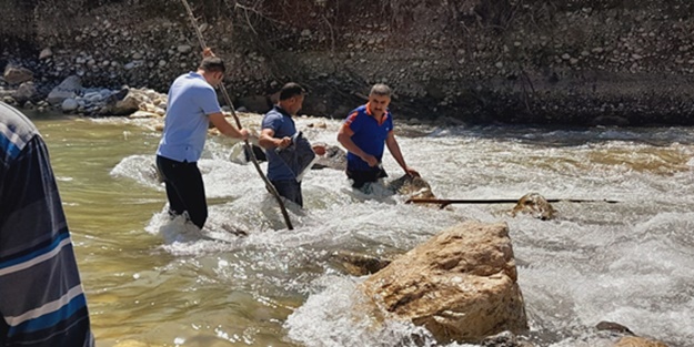 Kayıp yaşlı adam ölü bulundu