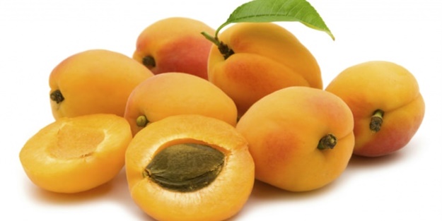 Kayısı çekirdeği zehirliyor!