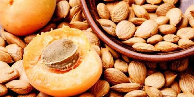 Kayısı çekirdeğinin bilmediğiniz 6 faydası