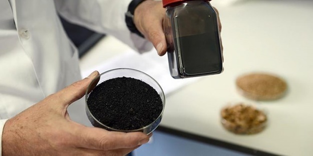 Kayısı çekirdiğinden dünya zirvesine