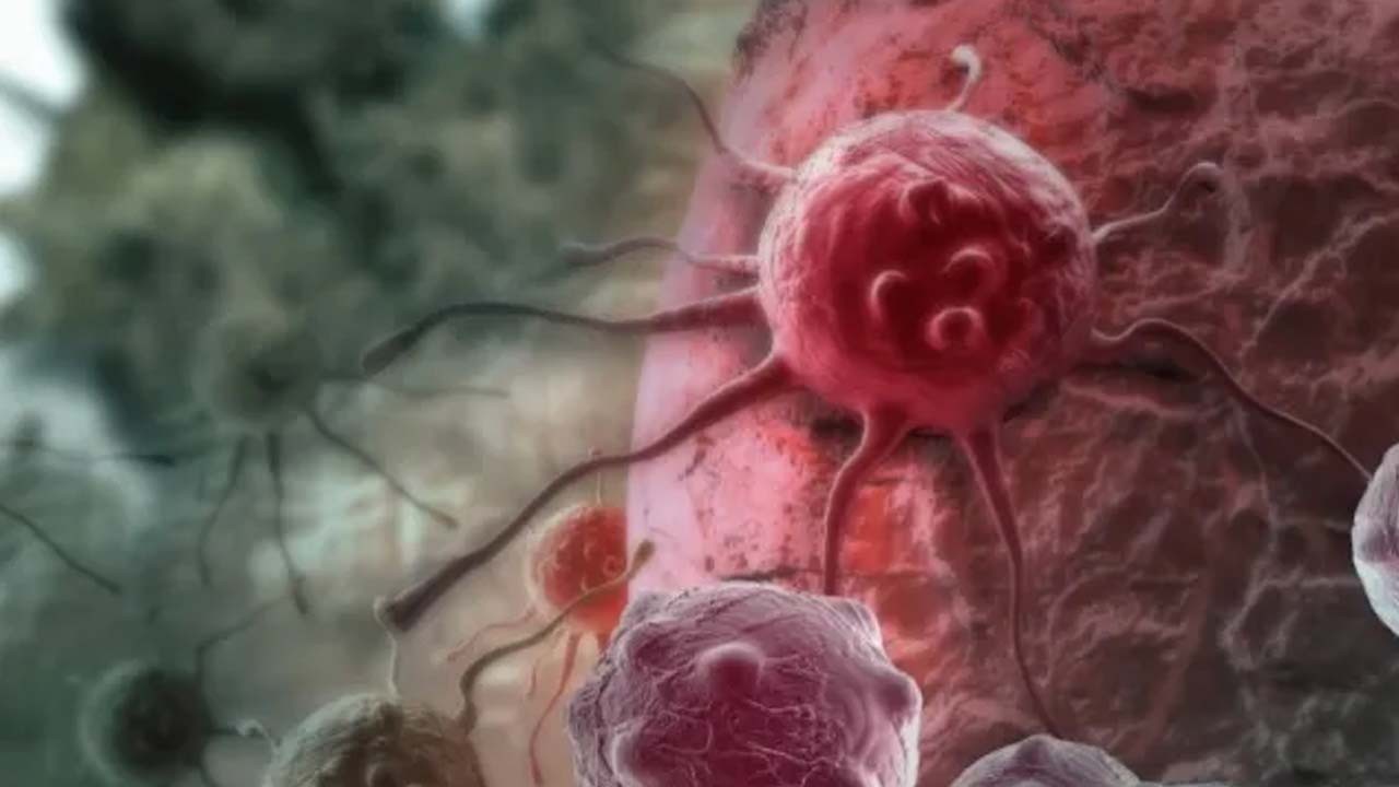 Kayısı, vişne ya da şeftali değil! Bu sağlıklı meyve suyu bakın neymiş