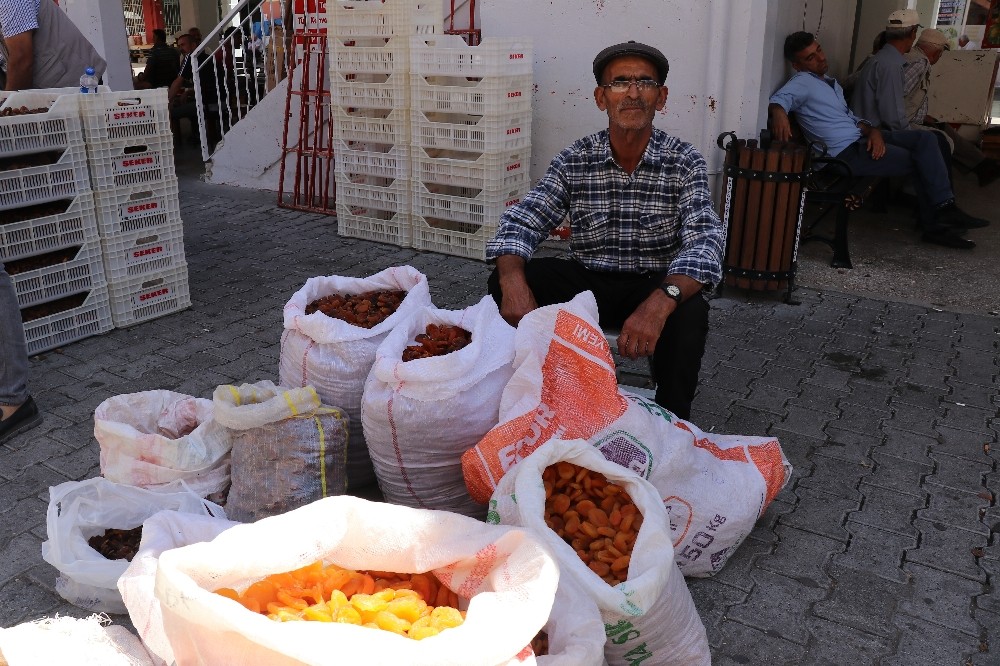 Kayısıda bu yılın mahsulleri pazara inmeye başladı 