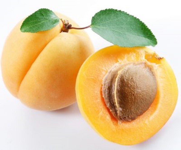 Kayısının faydaları saymakla bitmiyor 