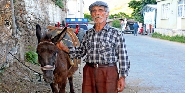 Kaymakam eşek hediye etti!