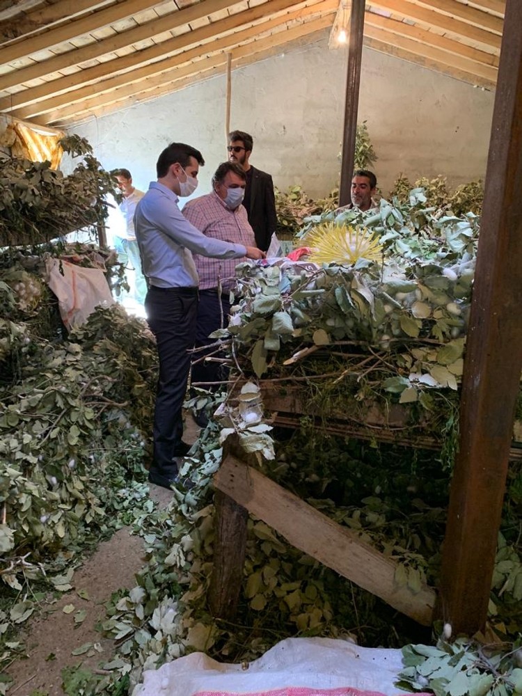 Kaymakam Gözlet ipek böceği üreticilerini ziyaret etti 