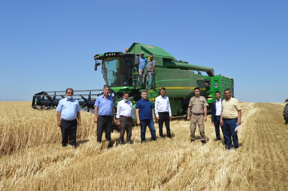 Kaymakam İmamoğlu hububat hasadına katıldı 