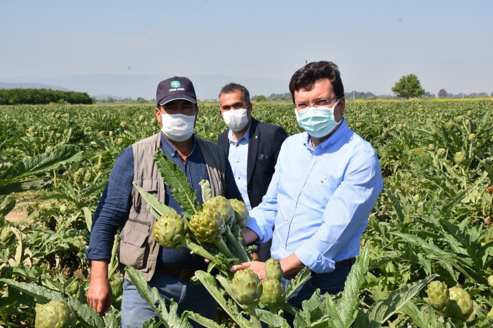 Kaymakam Şahin, üreticileri tarlada ziyaret etti 