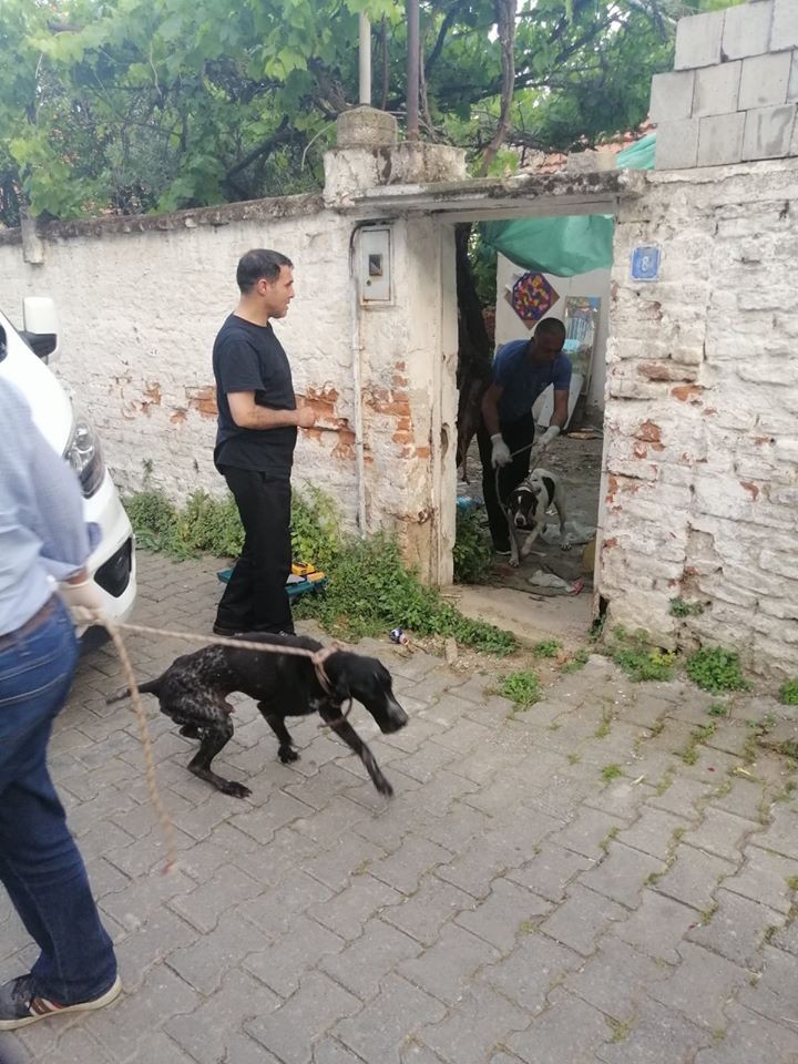 Kaymakam Şahin’den jet talimat 