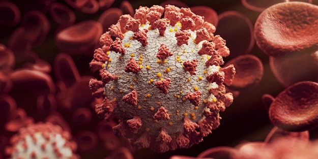 Kaymakam'dan Türkiye'deki mutasyonlu virüsle ilgili açıklama