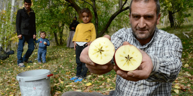 Kaynak suyu ile yetişiyor ve tam bir sağlık deposu