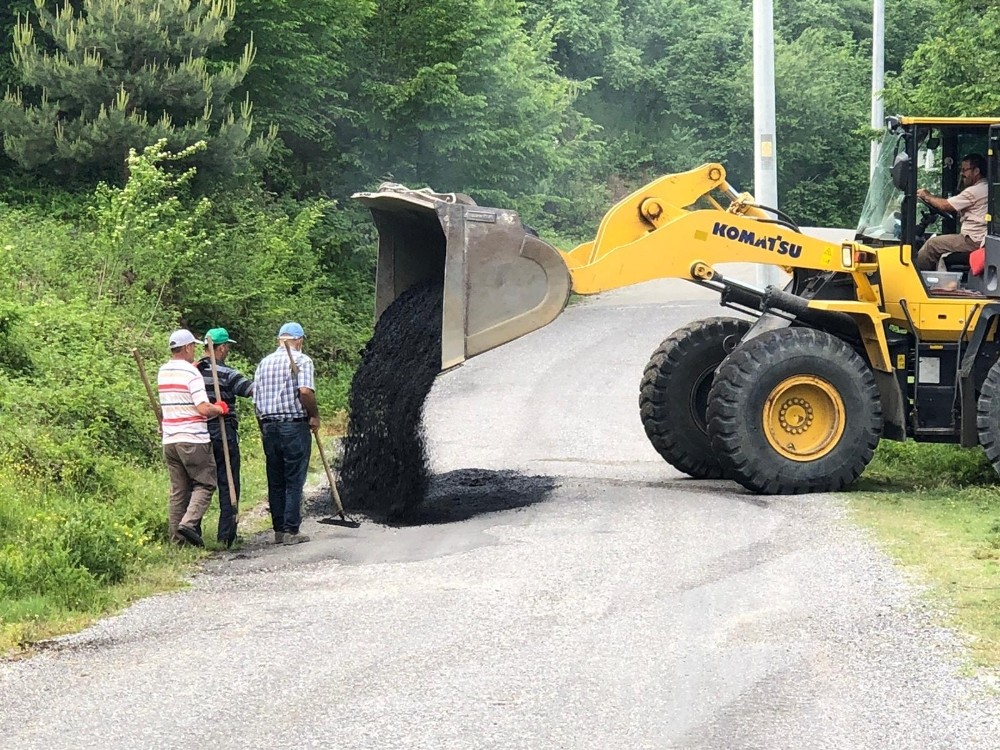 Kaynaşlı’da çalışmalar son sürat devam ediyor 