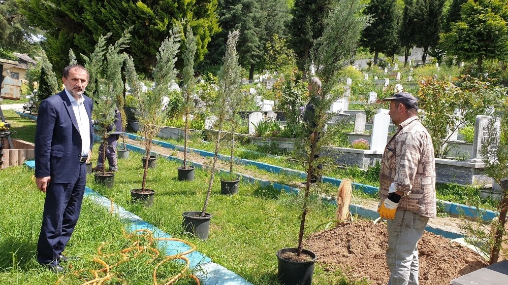 Kaynaşlı’da mezarlıkta düzenleme yapılıyor 