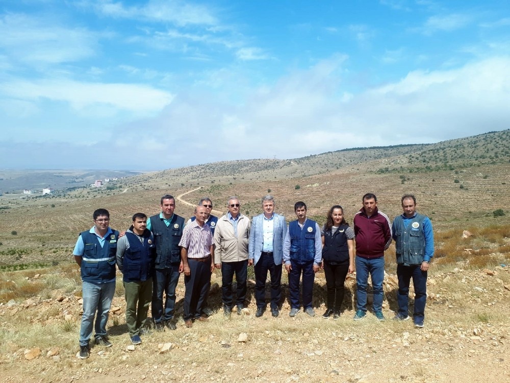 Kayseri Orman Bölge Müdürü Diltemiz Yozgat’ta 