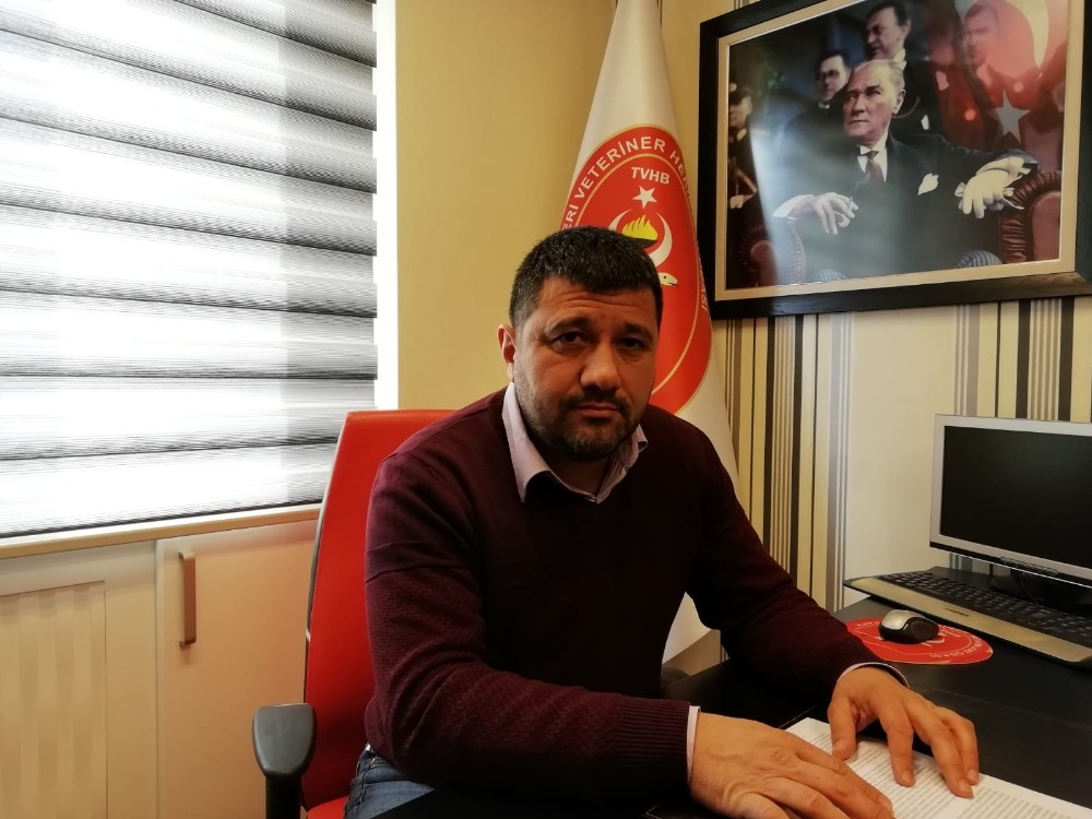 Kayseri Veteriner Hekimleri Odası Başkanı Akgün Ergül: “Olumsuz ve kuru hava şartları hayvanlardaki hastalıkları arttırıyor” 