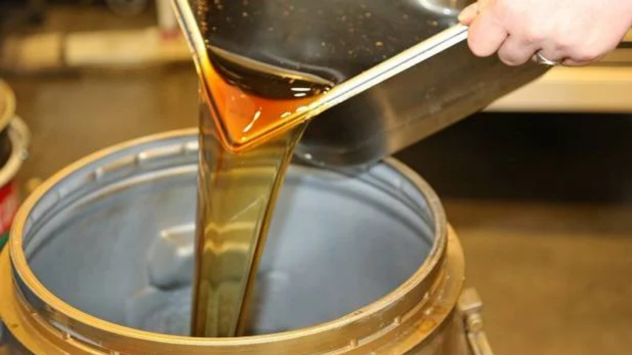 Kayseri’de 65 ton toplandı: Hayati önem taşıyor!