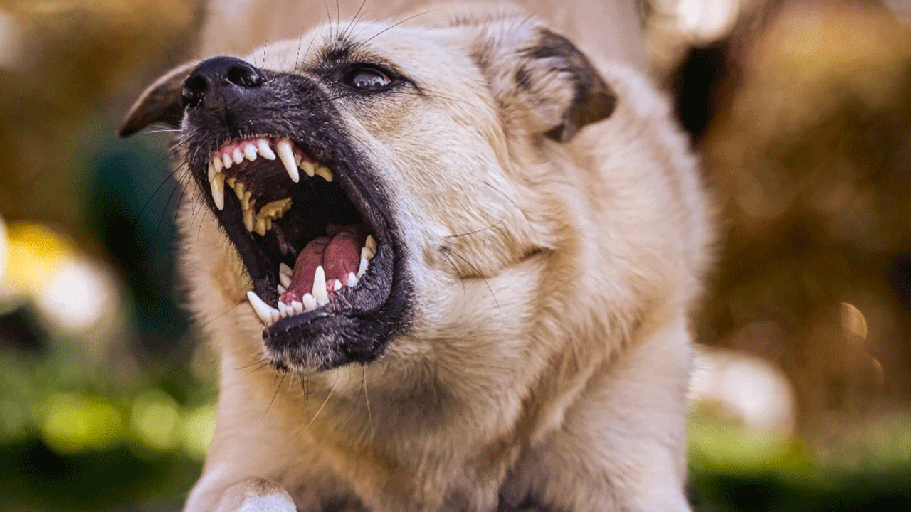 Kayseri'de evinin önünde oynayan çocuğa saldırdı!