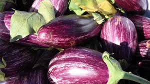 Kayseri'de hasadı başladı! Kilosu 25 TL'den kapış kapış satılıyor! Sağlık sorunlarına çare ararken yetiştirildi