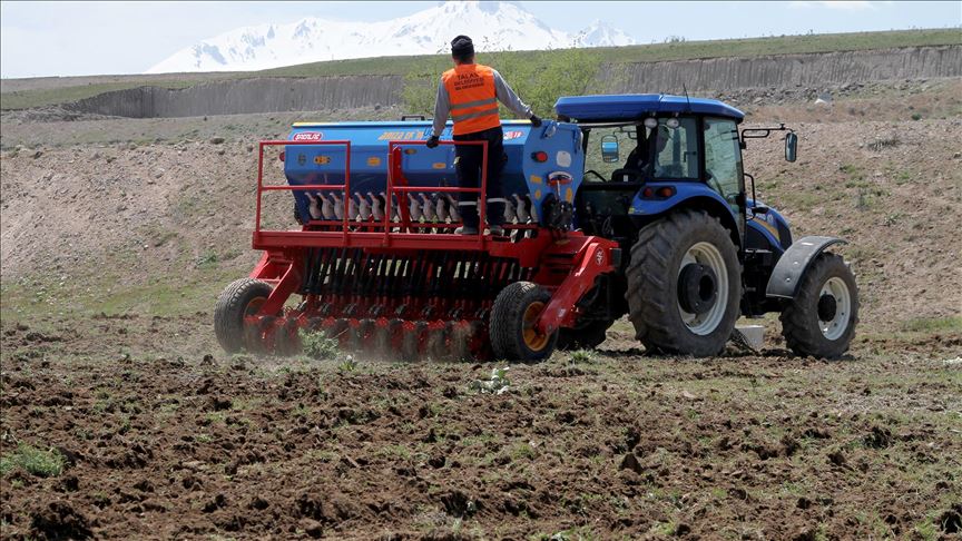 Kayseri'de hazine arazisine 4 ton patates tohumu ekildi