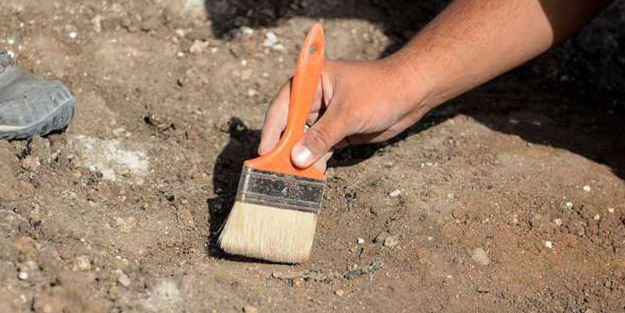 Kayseri'de mamut fosili bulundu