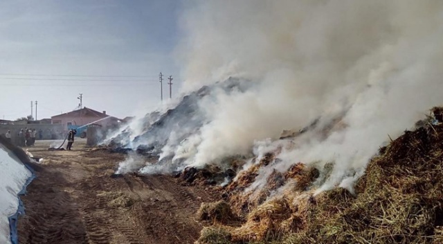 Kayseri'de sigara izmariti 3 bin balya samanı kül etti