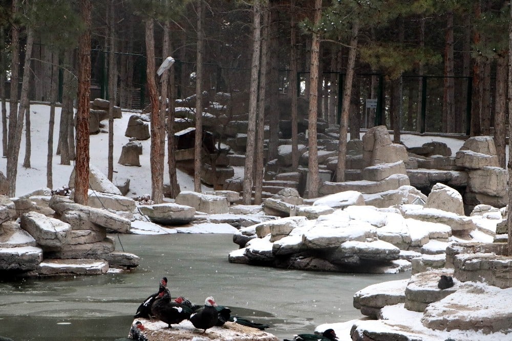 Kayseri’de soğuk hava gölü dondurdu 