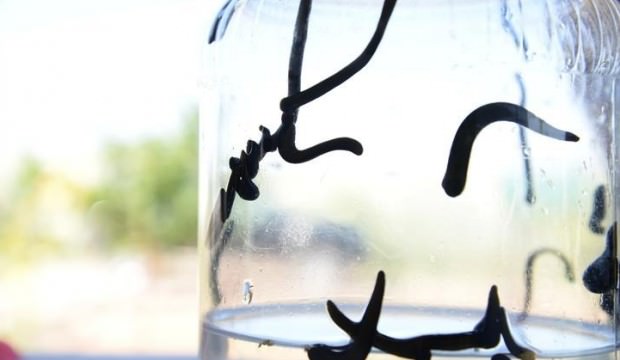 Kayseri'de üretiyor... Dünyaya ihraç ediliyor!