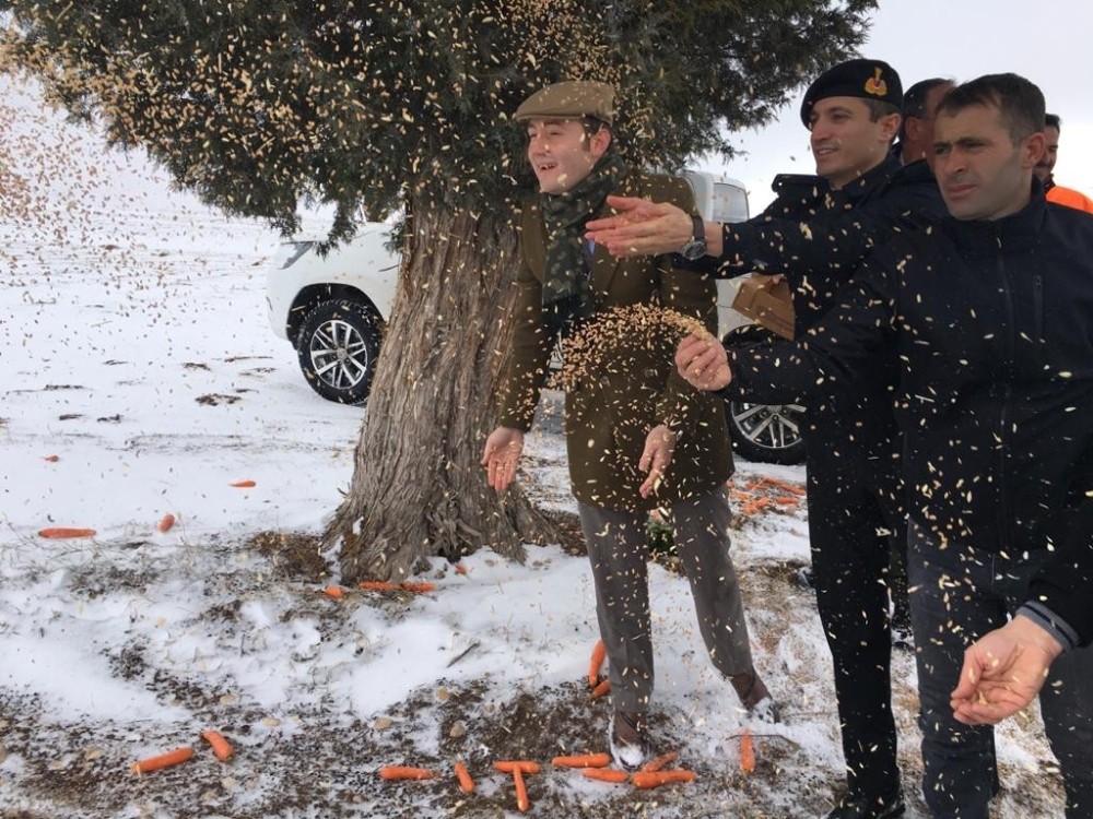 Kayseri’de yaban hayatına tam destek 