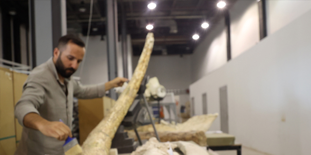 Kayseri'de yakında gözlerinize inanamayacaksınız! Milyonlarca yıllık fosiller şok edecek... O müzeye akın!