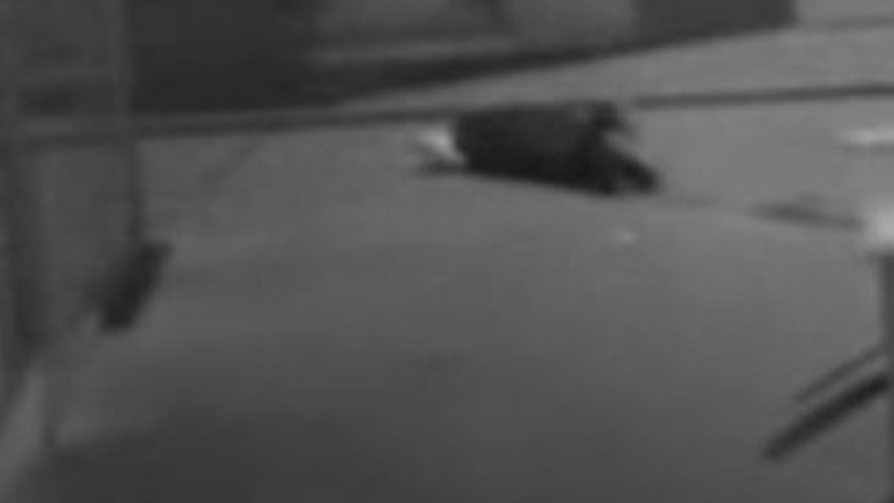 Kayseri'de kan donduran cinayet! Kendi katiline konum atmış!