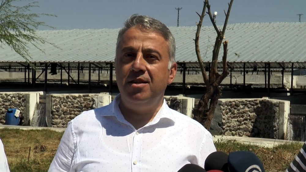 Kayseri’den yılda 10 milyon dolarlık balık ihracatı yapılıyor 
