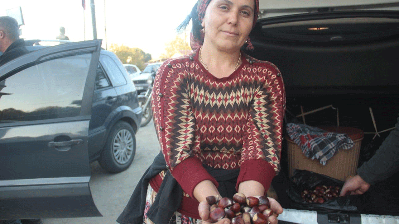 Kaz Dağları’nda kestane bereketi! Vatandaşlar doğal ormanlara akın ediyor