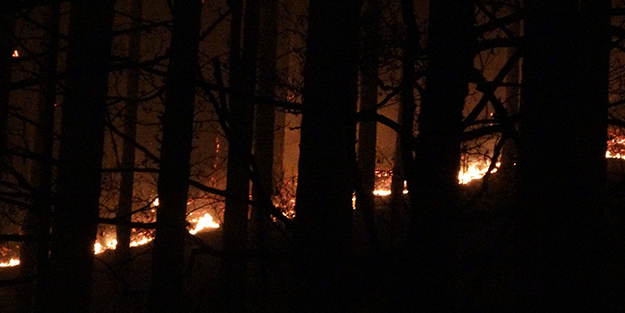 Kaz Dağları’nda ormanlık alanda örtü yangını çıktı