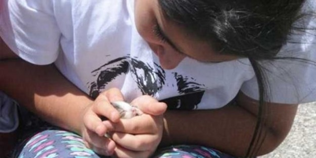 Kaza geçirdi ama kedisini bırakmadı