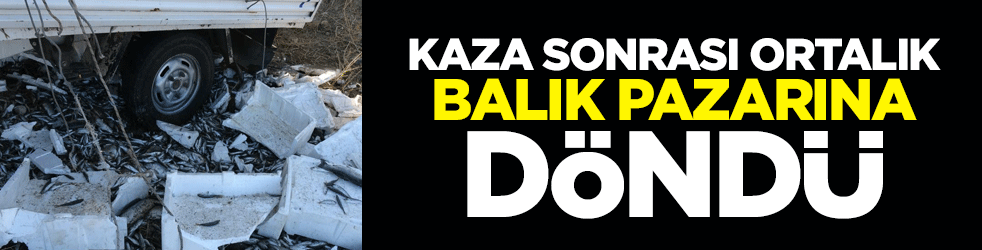 Kaza sonrası ortalık balık pazarına döndü